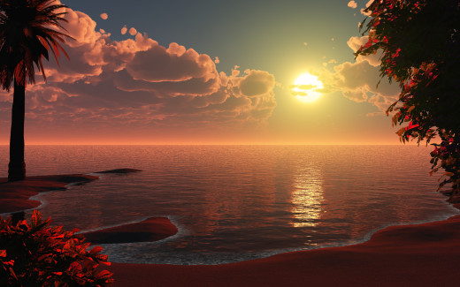 463906 (a): :2560x1600